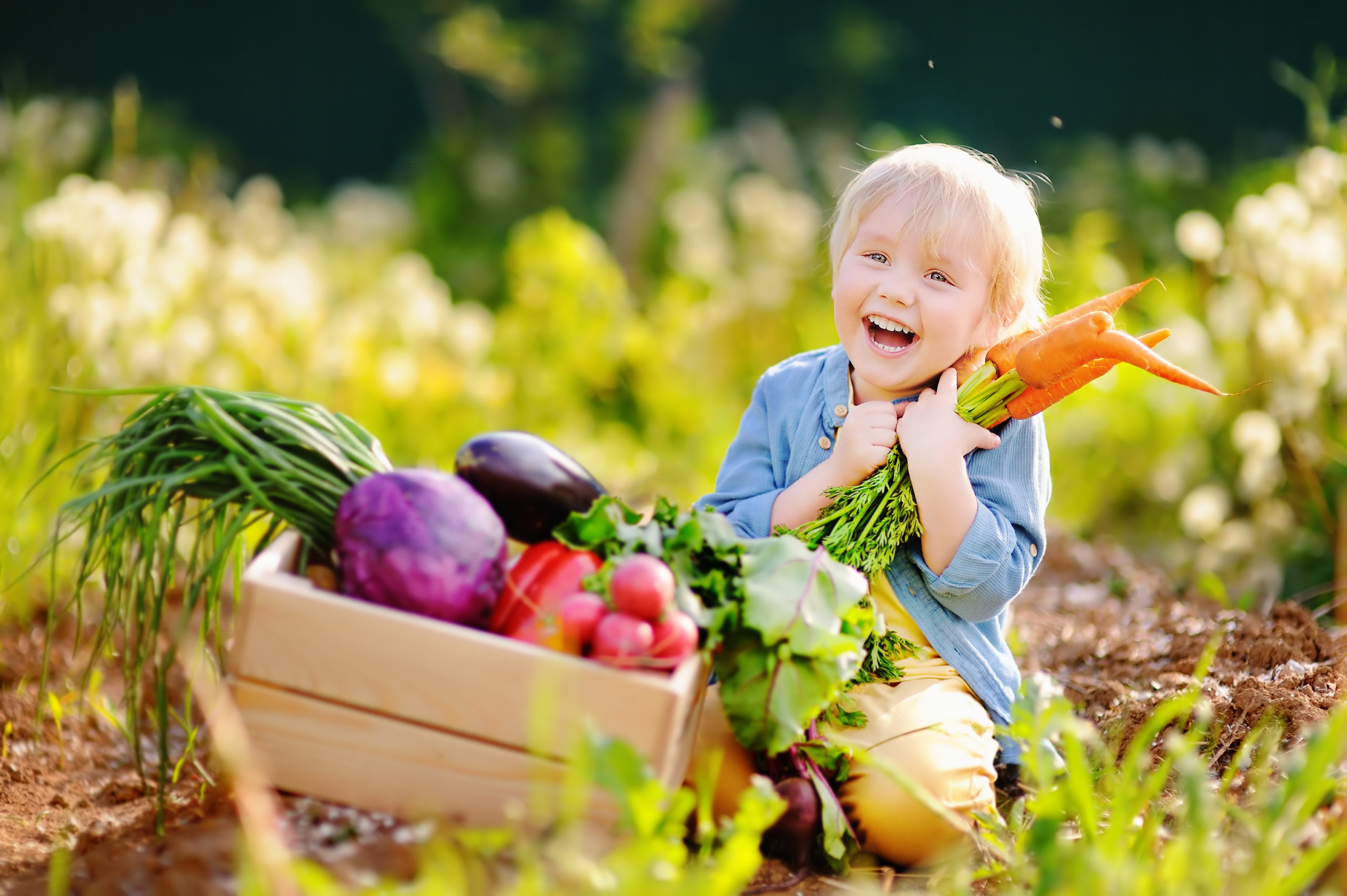 Frühlings gärtnern mit Kindern